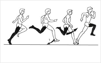 دورخيز
