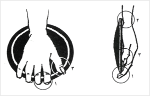 نحوهٔ گرفتن ديسک