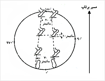 نحوهٔ قرارگرفتن پاها
    