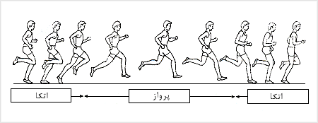 دوهاى نيمه استقامت و استقامت مراحل کامل
