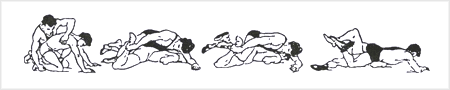 فن سگک سربند از تو در حالت نشسته (۲)
