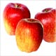 مصرف سیب و پیشگیری از ابتلا به سرطان روده