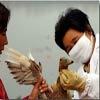 آخرین خبرها از «ویروس آنفلوانزای فوق حاد پرندگان» در جهان