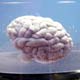 ابداع روشی جدید برای درمان بافت‌های مغزی آسیب دیده