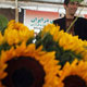 ایران مقام نخست صادرات گل "مریم و گلایل" را دارد