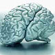 امكان خواندن ذهن انسان‌ها با استفاده از MRI