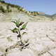 سهم هر استان از اعتبار مقابله با خشکسالی