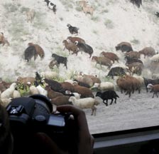 سومین تور عکاسی چیلیک با سفر به دریاچه " اوان" در منطقه الموت برگزار شد