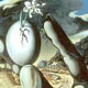 نمایش نقاشی «نارسیس» اثر سالوادور دالی