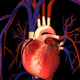اولین قلب مصنوعی ساخته شد
