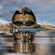 اجباری شدن شنا برای دانش‌آموزان چهارم و پنجم ابتدایی از مهر