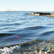 بانك جامع اطلاعات آلاینده‌های دریایی تهیه می‌شود