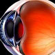 یک ابزار جدید می تواند بیماری چشم را قبل از بروز علائم تشخیص دهد
