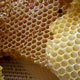 عسل برای مقابله با باكتری‌های مقاوم مفید است