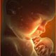 تعیین جنسیت جنین از هفته هفتم تا دهم بارداری امكانپذیر شد