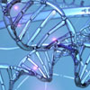شناخت یك ژن موثر در بروز سرطان‌های نادر