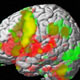آیا روان درمانی موجب تغییرات در مغز می‌شود؟