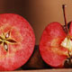 بررسی ژن عامل رنگ قرمز در سیب درون سرخ ایرانی + عکس
