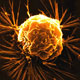 سلول‌های پوستی، طعمه جدید محققان برای شكار تومورهای سرطانی