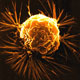 كشف نوعی پروتئین مؤثر در تکثیر و انتقال سلول‌های سرطان پستان