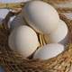 چه‌ كسی تخم مرغ ۹ هزار تومانی می‌خرد؟