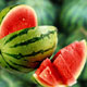 هندوانه خطر ابتلا به تصلب شرایین را کاهش می‌دهد