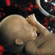 سقط جنین در هر مرحله‌ای، عنوان قتل را دارد، نه جرحت و نقص عضو