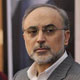 صالحی از جزئیات بیانیه اجلاس تهران خبر داد