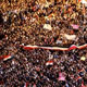 تظاهرات میلیونی التحریر مصر علیه "کودتای قانون اساسی"