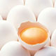 کاهش قیمت تخم‌مرغ در مرغداری‌ها
