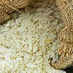 کشف یک ژن شگفت انگیز در برنج