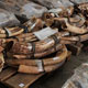 مصادره محموله بزرگ قاچاق عاج فیل در هنگ‌کنگ
