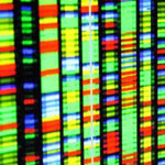 کشف ۴۸ واریانت ژنتیکی جدید مرتبط با بیماری ام اس