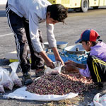 درآمد ماهانه ۲۰۰ هزار تومانی کودکان خیابانی در قزوین