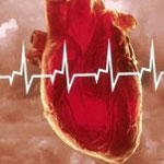 مهمترین عوامل بروز بیماری‌های قلبی کدامند؟