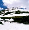 منظرهٔ طبیعی زمستان استان ایلام | A Natural Landscape of Winter of Ilam Province