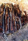 آبشارمارگون ،  سپیدان | Margoon Waterfall, Sepeedan
