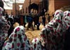 مراسم عاشورا ،  روستای اَبیانِه ،  نطنز | Ashoora Mourning Ceremony, Abyaneh Village, Natanz