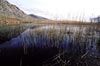 منظرهٔ طبیعی تالاب دشتهای کرمانشاه ،  کرمانشاه | A Wetland, Kermanshah Plains, Kermanshah