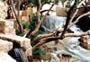 پارک آبشار ،  بویراحمد (یاسوج) | Abshar Park, Boyer Ahmad (Yasooj)