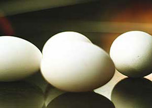 اینرسی در تخم‌مرغ چه می‌کند