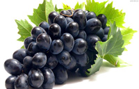 انگور، میوه‌ای مفید برای تقویت معده و دستگاه عصبی