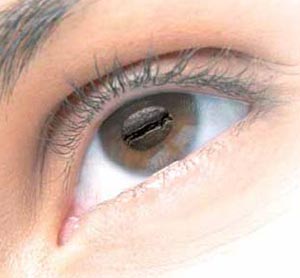 تقویت ماهیچه های چشم
