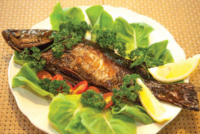 دوقوس ماهی؛ غذای بوشهری