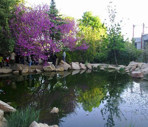 باغ ارم - فارس - شیراز