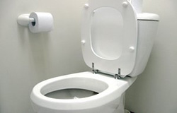 توالت فرنگی می تواند بیماری های مقاربتی را منتقل کند؟