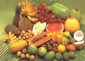 تشخیص میوه و سبزیجات مرغوب