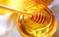 خواص عسل زیر ذره بین طب سنتی