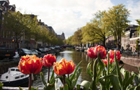 بهترین شهرها برای مسافرت در بهار