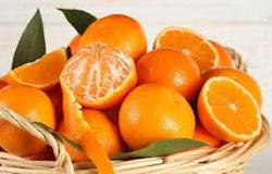 کالبدشکافی پرتقال و نارنگی